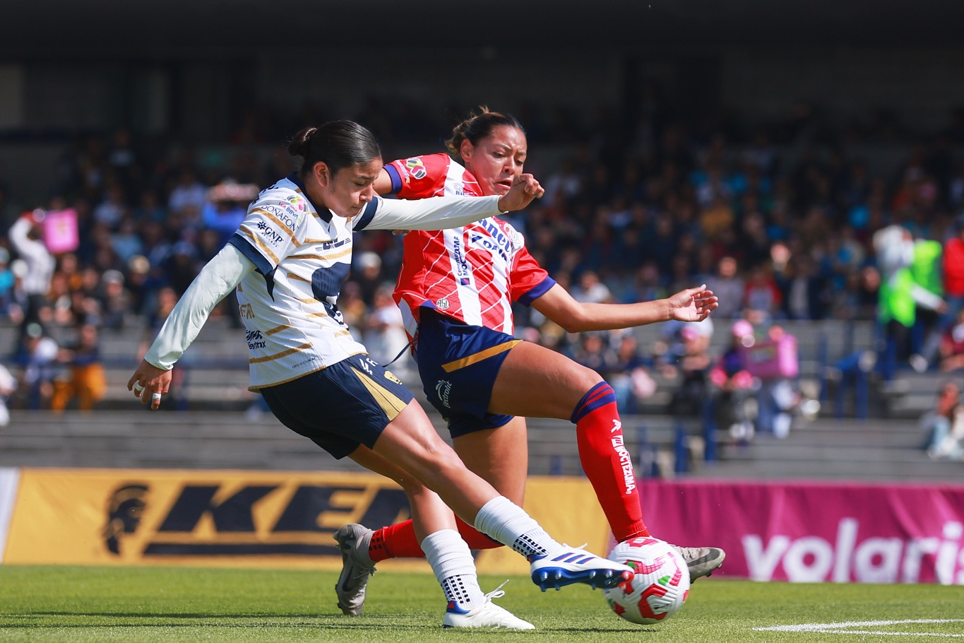 Pumas MX Femenil Pumas MX Femenil